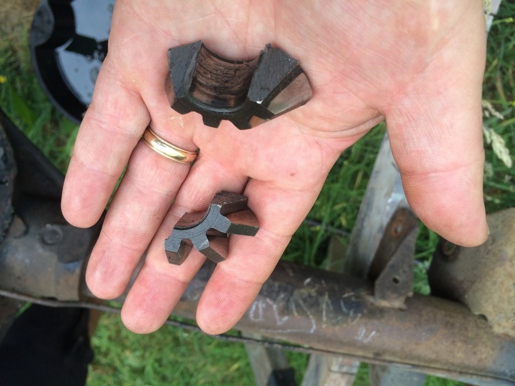 Rear gear Team Chevelle